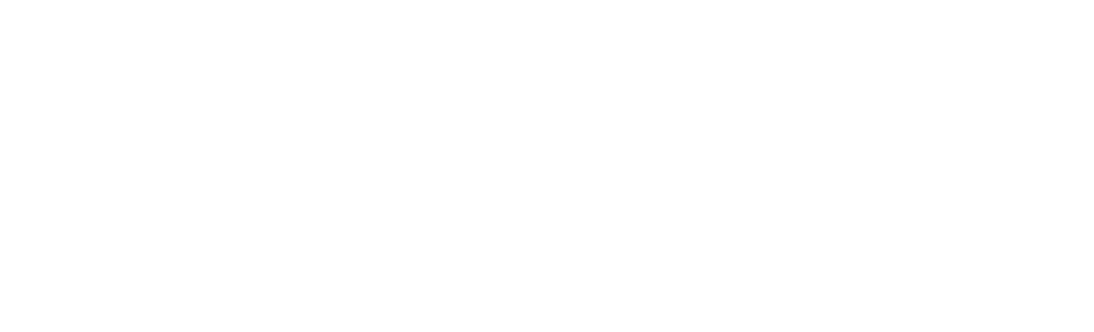 Haldus Sistemas